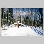 woodspic34.jpg