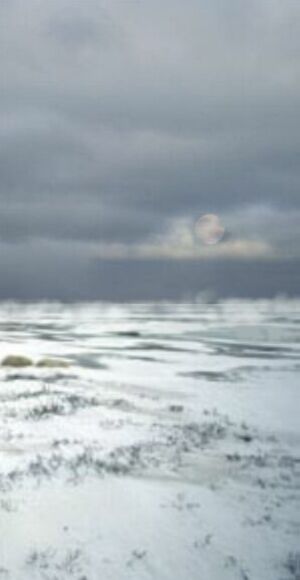Snowscape